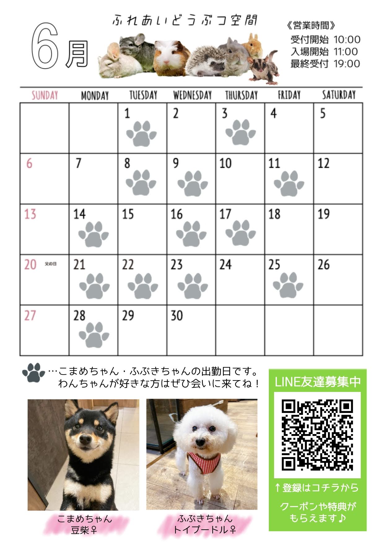 ふれあいどうぶつ空間 しゃべコミュ 仙台駅前エンドー イービーンズ ふれあいどうぶつ空間 しゃべコミュ 仙台駅前エンドー イービーンズ