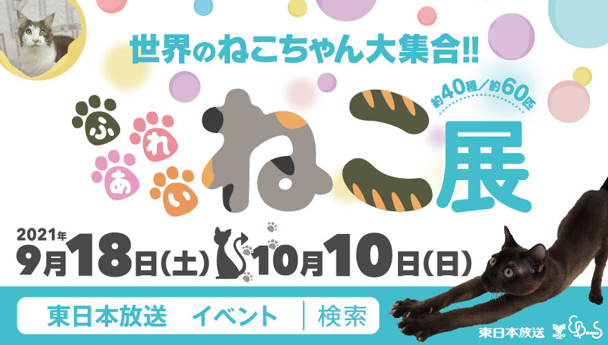 仙台駅前エンドー イービーンズ 仙台駅前エンドー イービーンズ