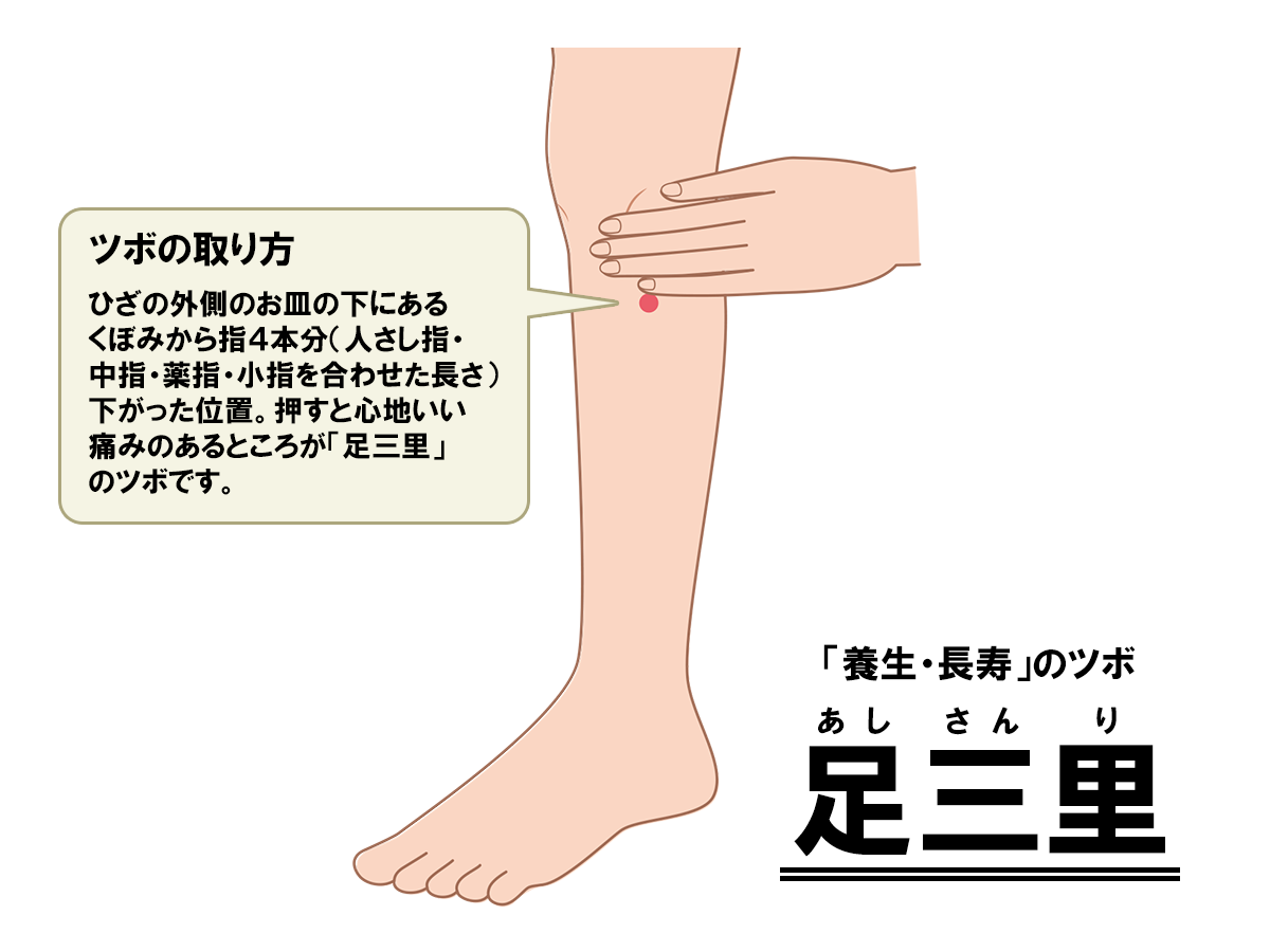 3F げんき堂整骨院 足三里というツボをご紹介いたします！｜仙台駅前エンドー｜イービーンズ